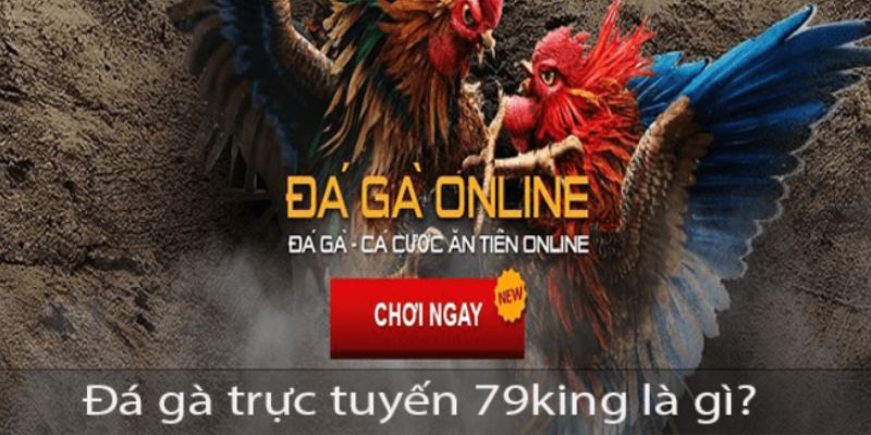 Đá gà trực tuyến 79king là gì?