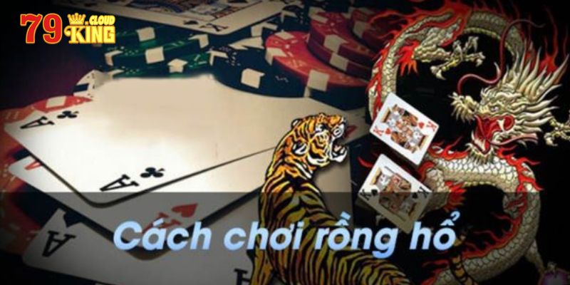 Cách Chơi Rồng Hổ Dễ Thắng Cho Người Mới Bắt Đầu