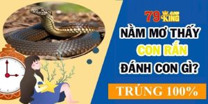 Giải Mã: Mơ Thấy Rắn Trắng Mang Đến Những Điều Cực Sốc